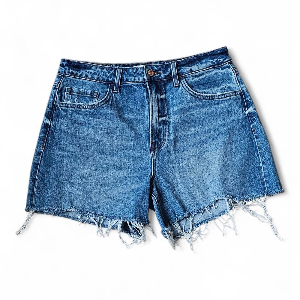 Vervet Blue Distressed Denim Shorts Size Large